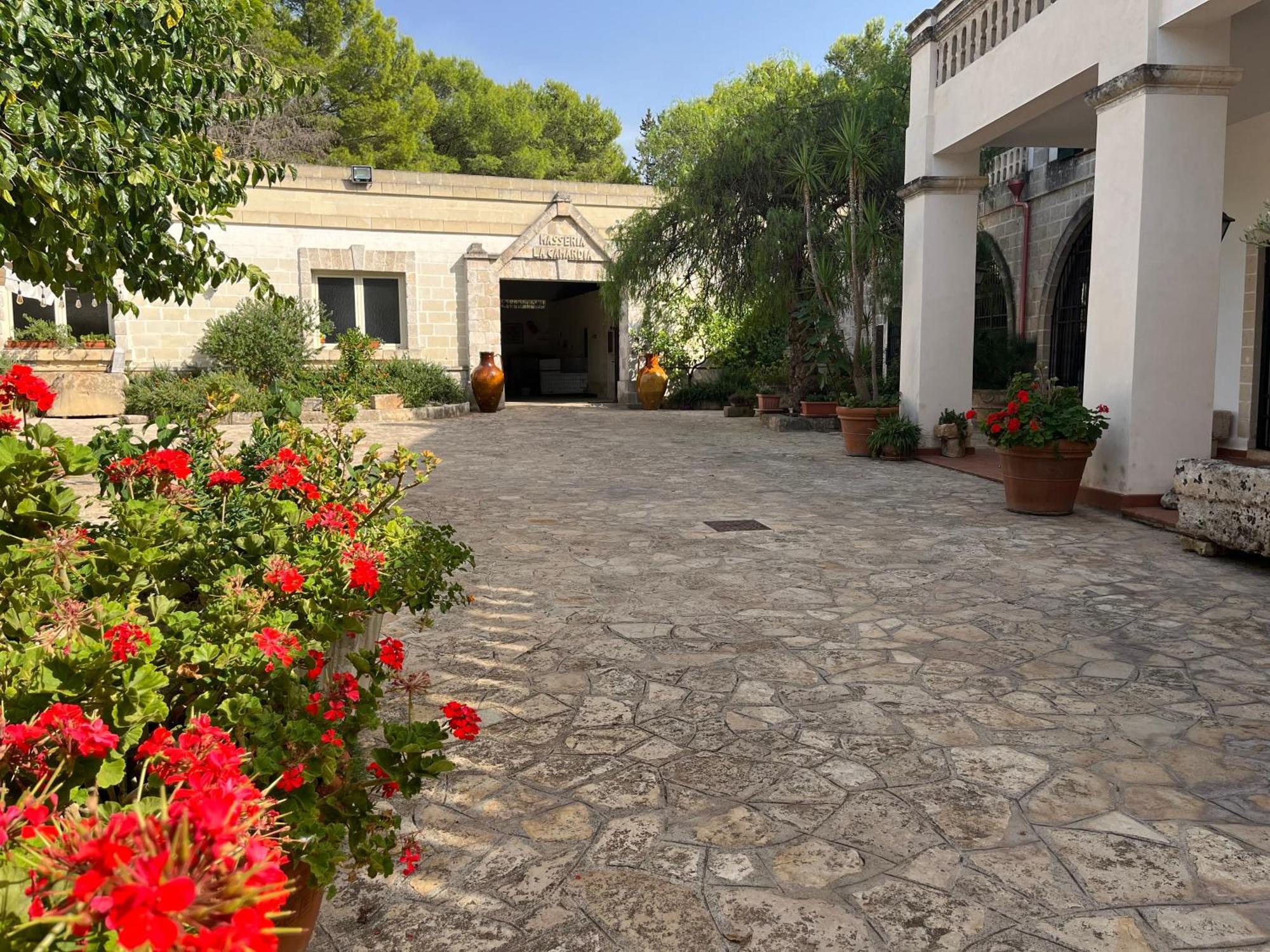 Masseria La Camardia Sava Dış mekan fotoğraf