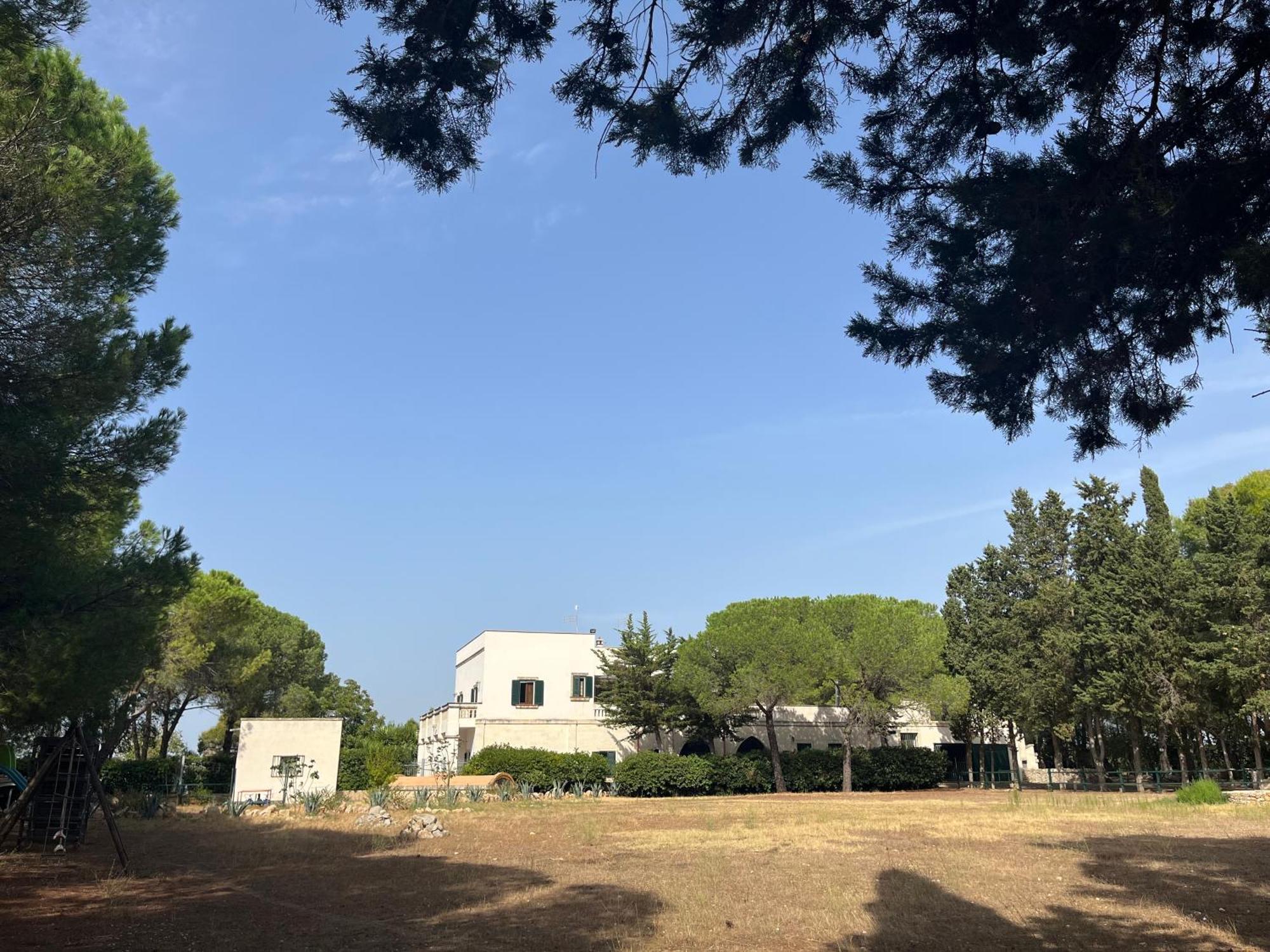 Masseria La Camardia Sava Dış mekan fotoğraf