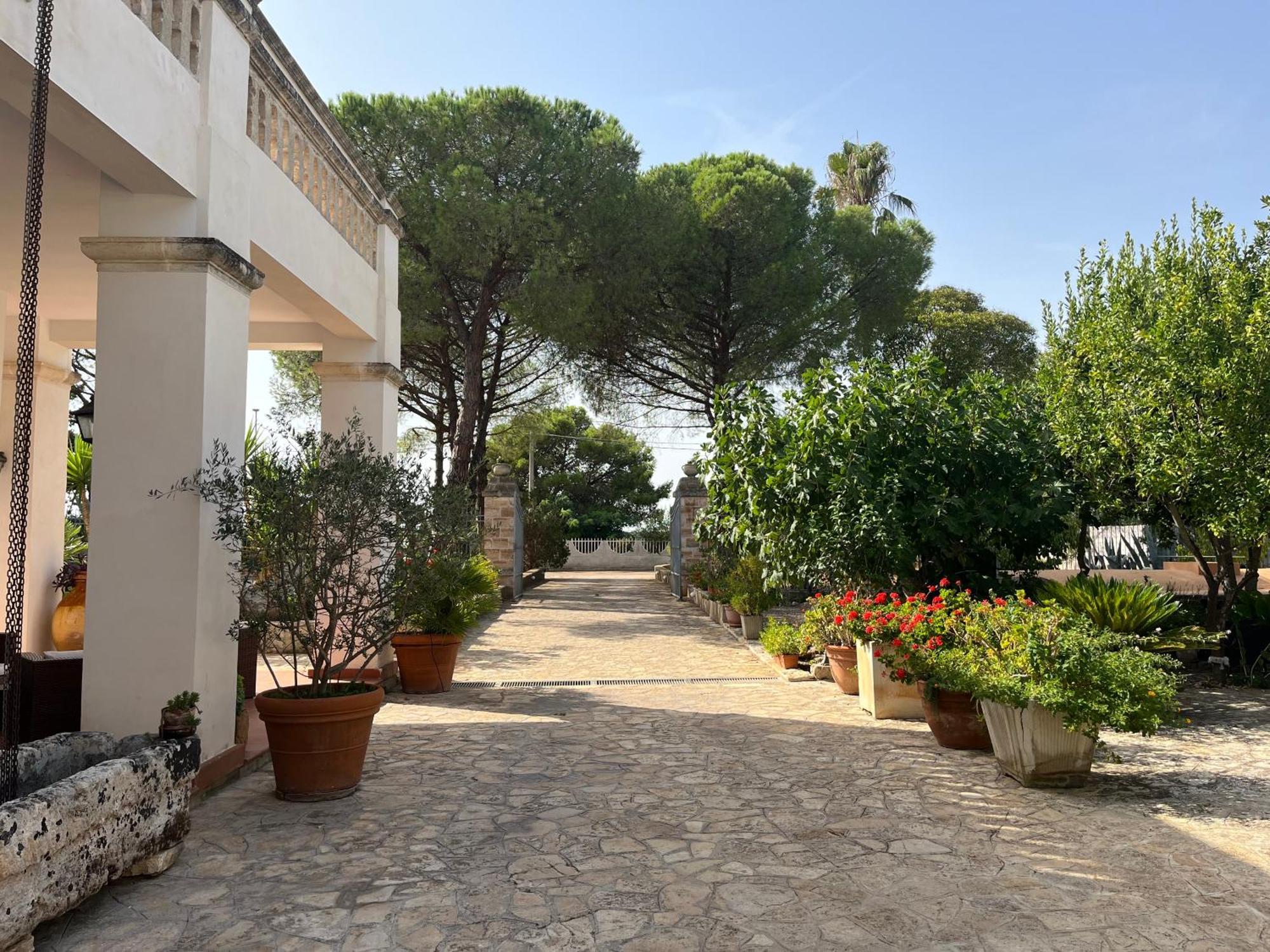 Masseria La Camardia Sava Dış mekan fotoğraf