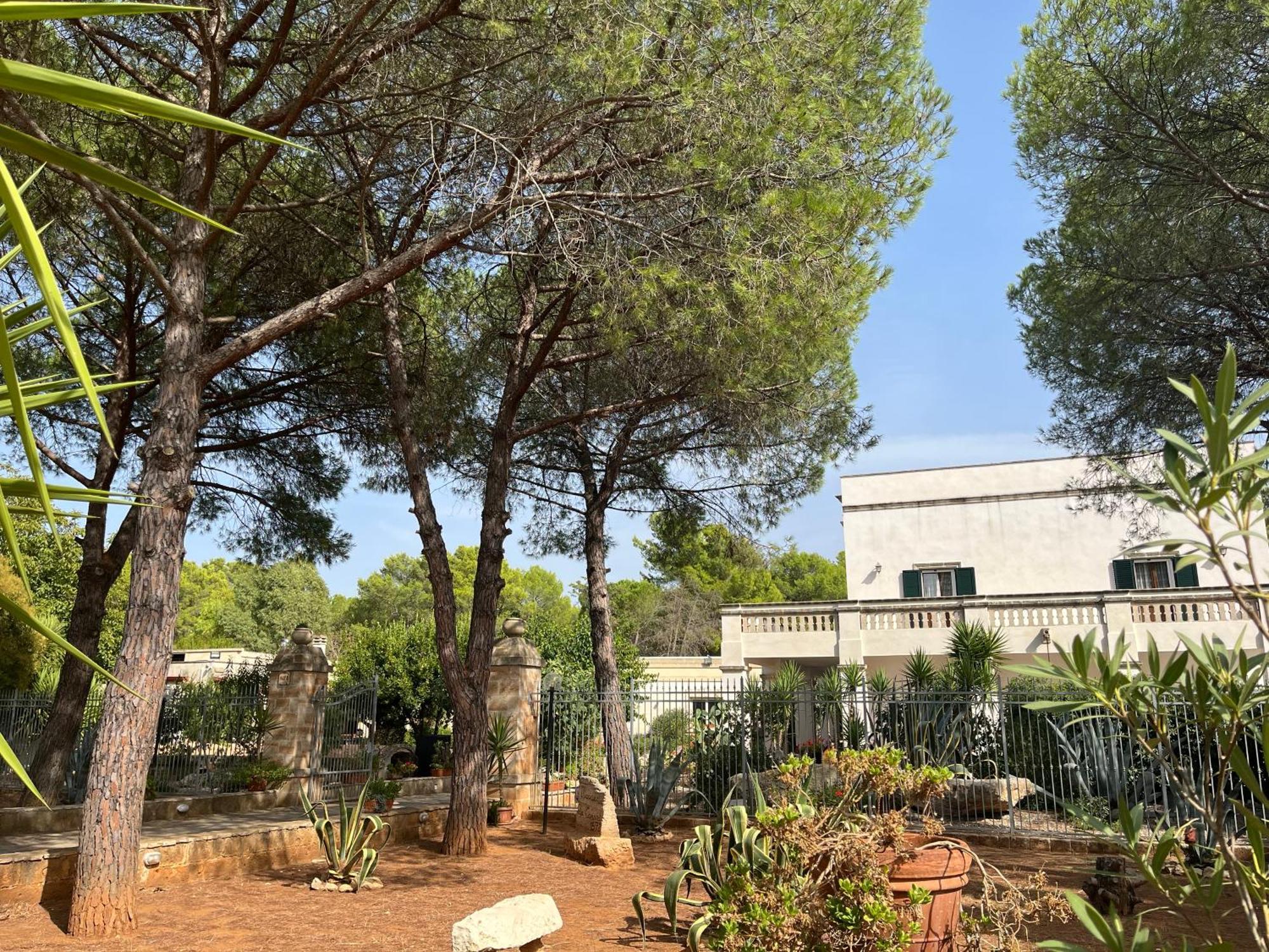 Masseria La Camardia Sava Dış mekan fotoğraf