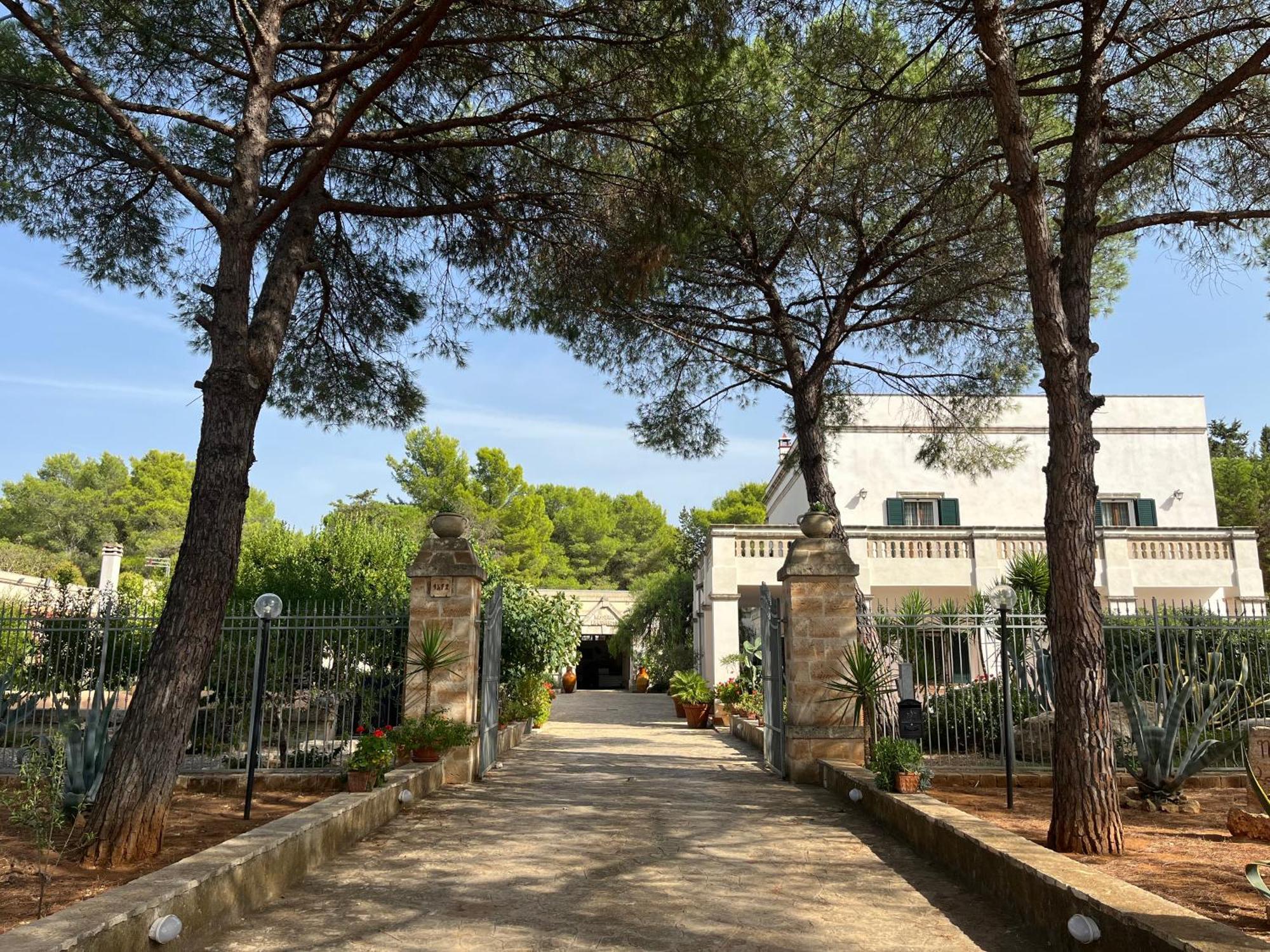 Masseria La Camardia Sava Dış mekan fotoğraf