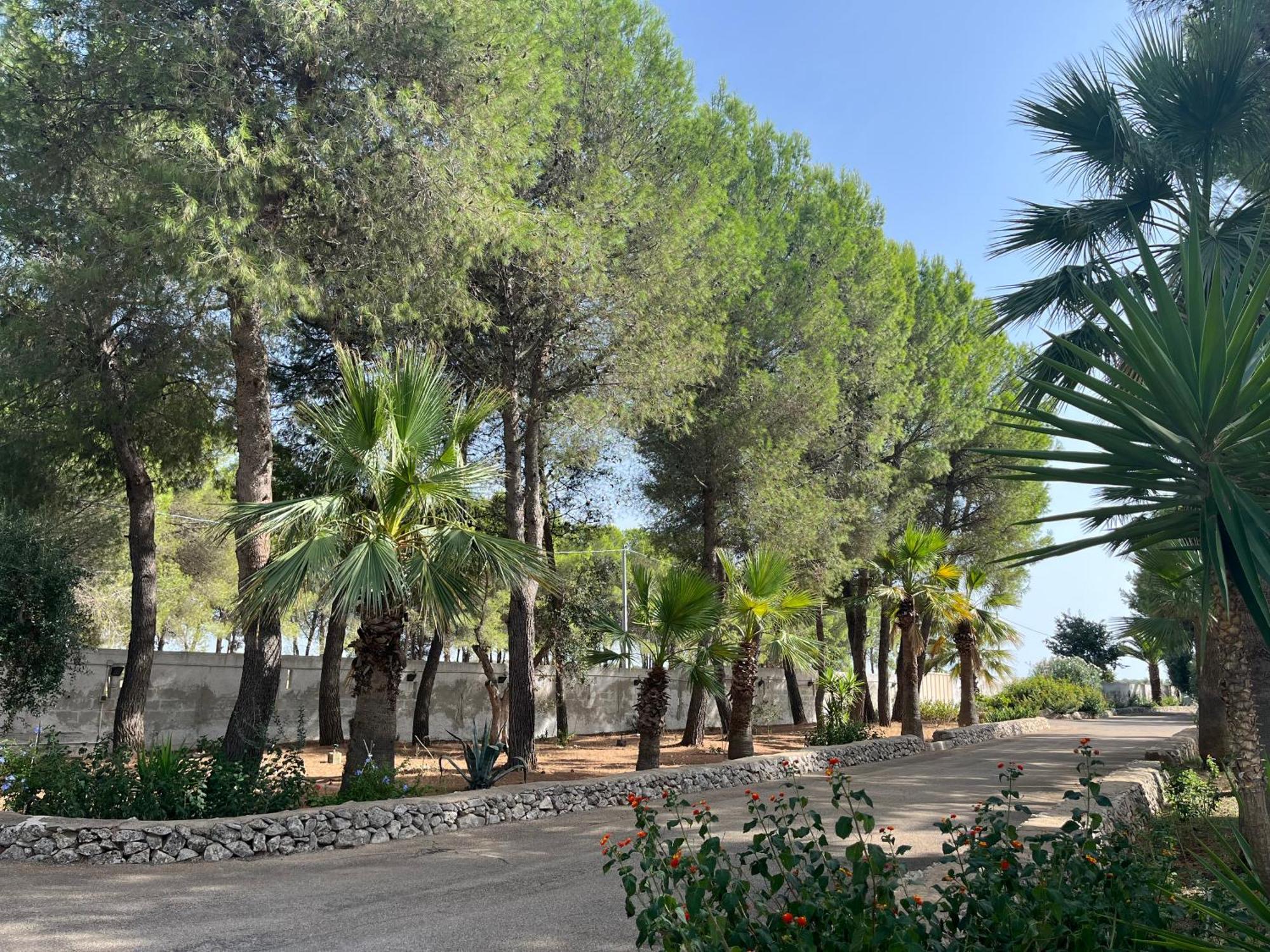Masseria La Camardia Sava Dış mekan fotoğraf