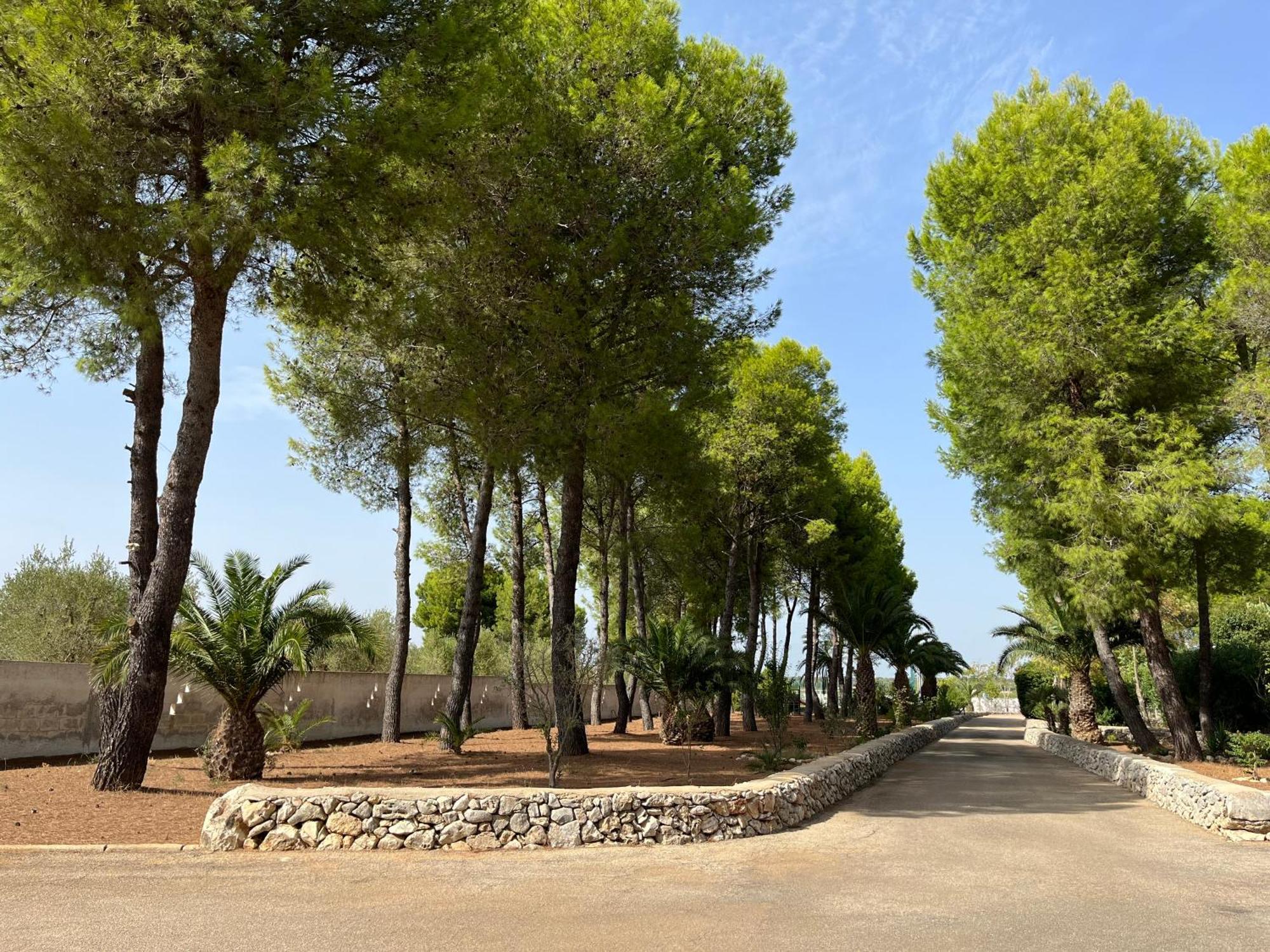 Masseria La Camardia Sava Dış mekan fotoğraf