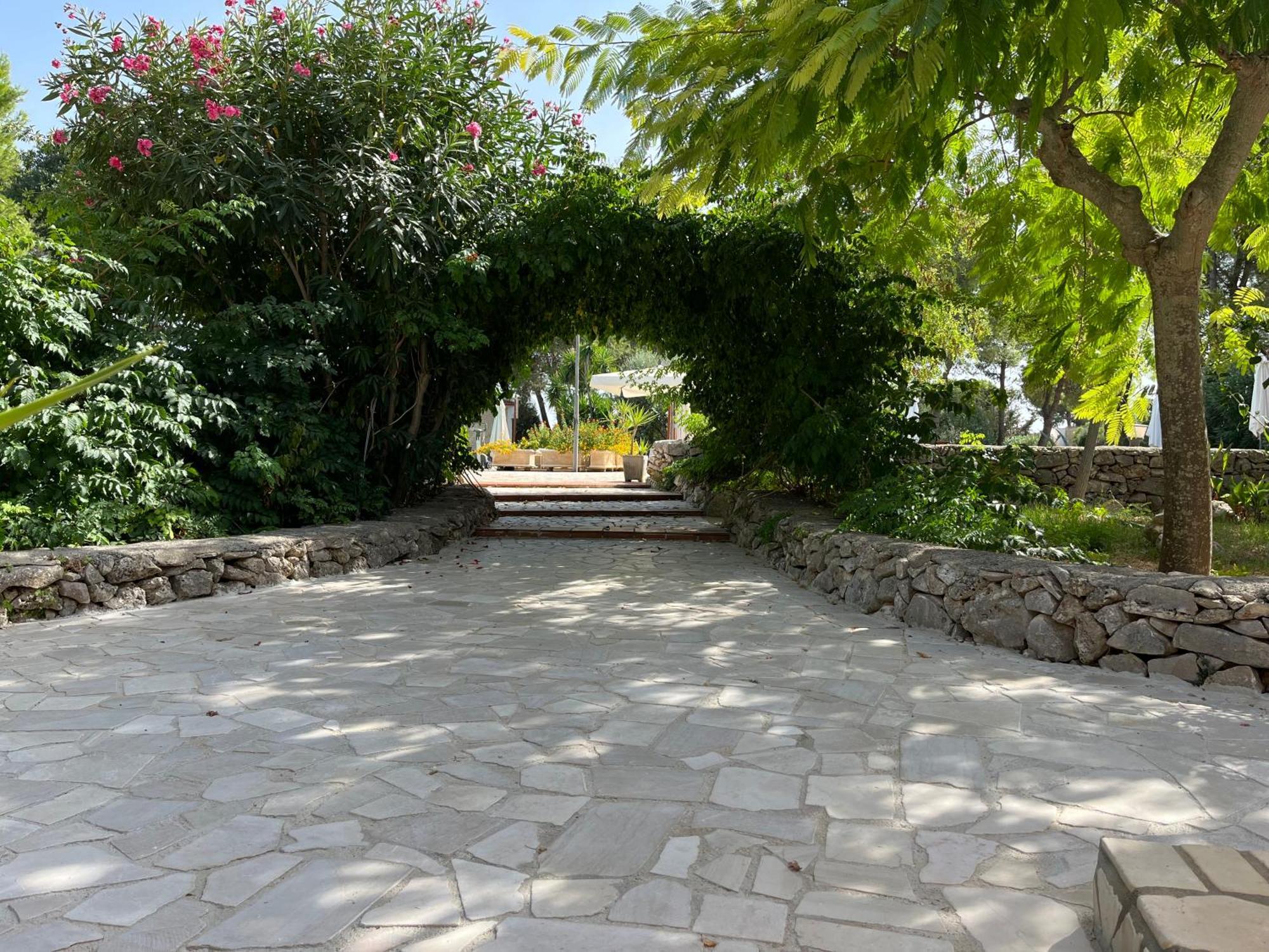 Masseria La Camardia Sava Dış mekan fotoğraf