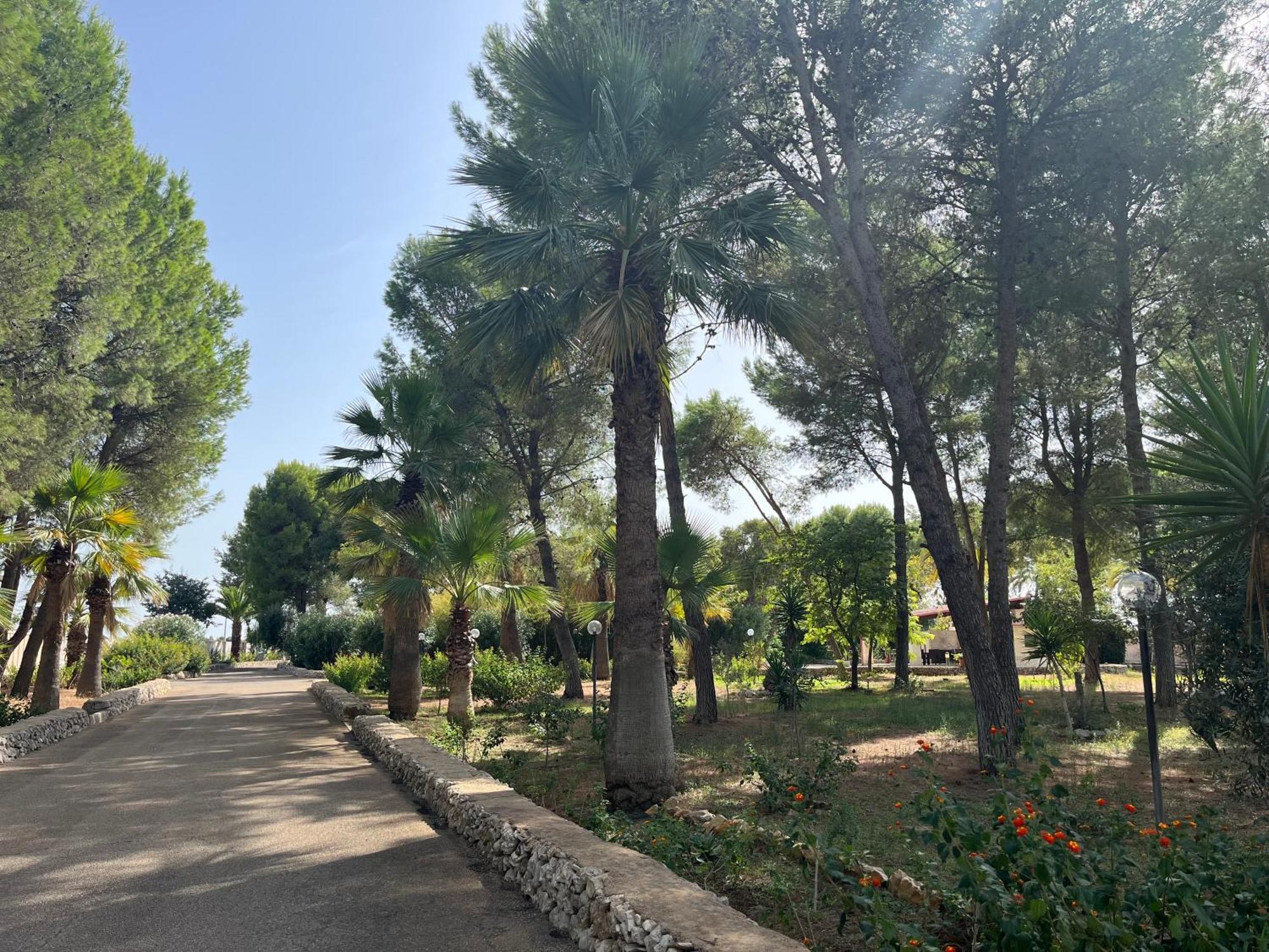 Masseria La Camardia Sava Dış mekan fotoğraf
