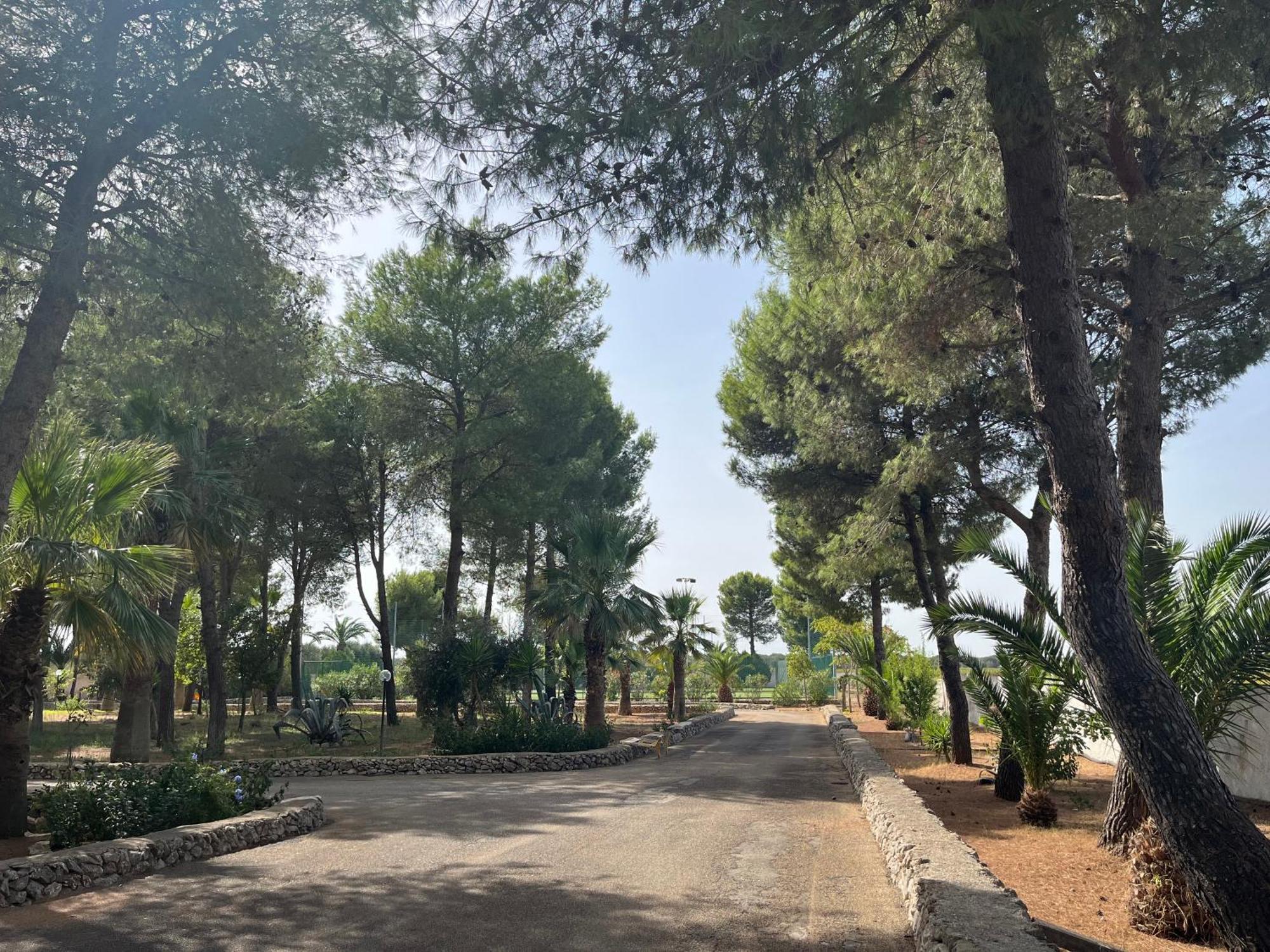 Masseria La Camardia Sava Dış mekan fotoğraf