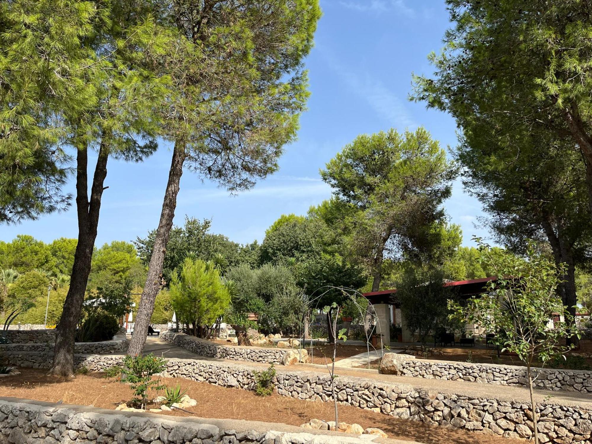 Masseria La Camardia Sava Dış mekan fotoğraf