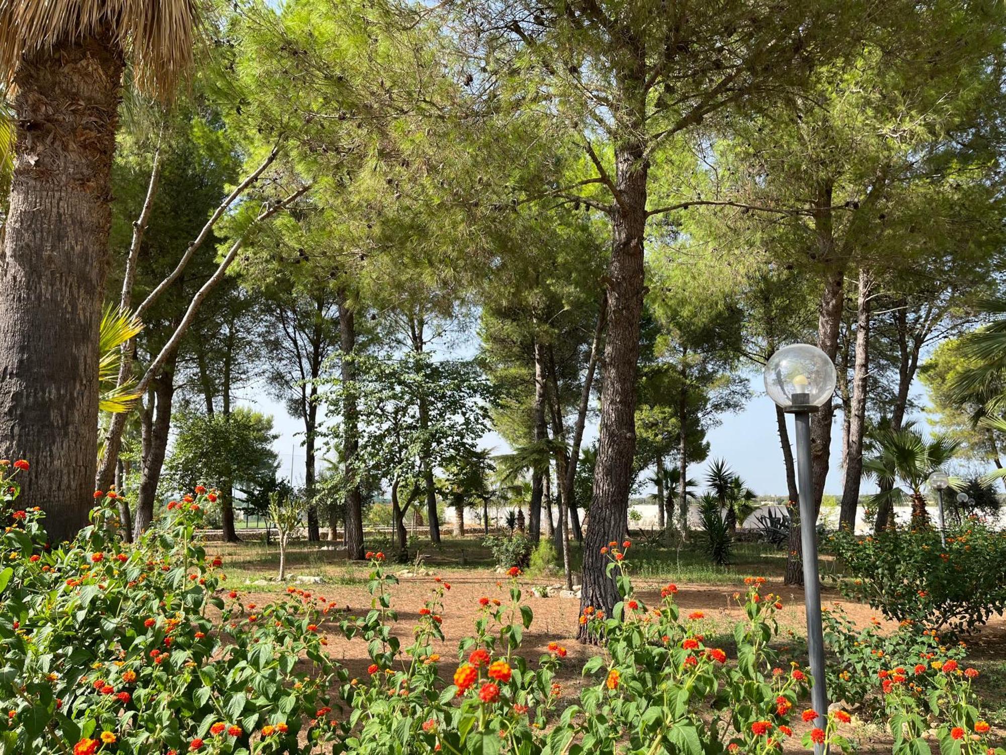 Masseria La Camardia Sava Dış mekan fotoğraf