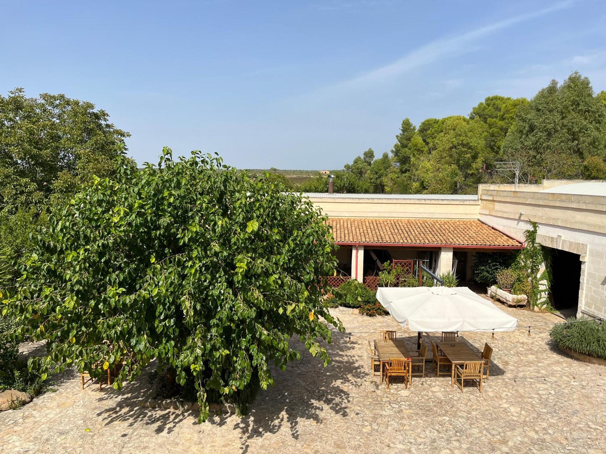 Masseria La Camardia Sava Dış mekan fotoğraf