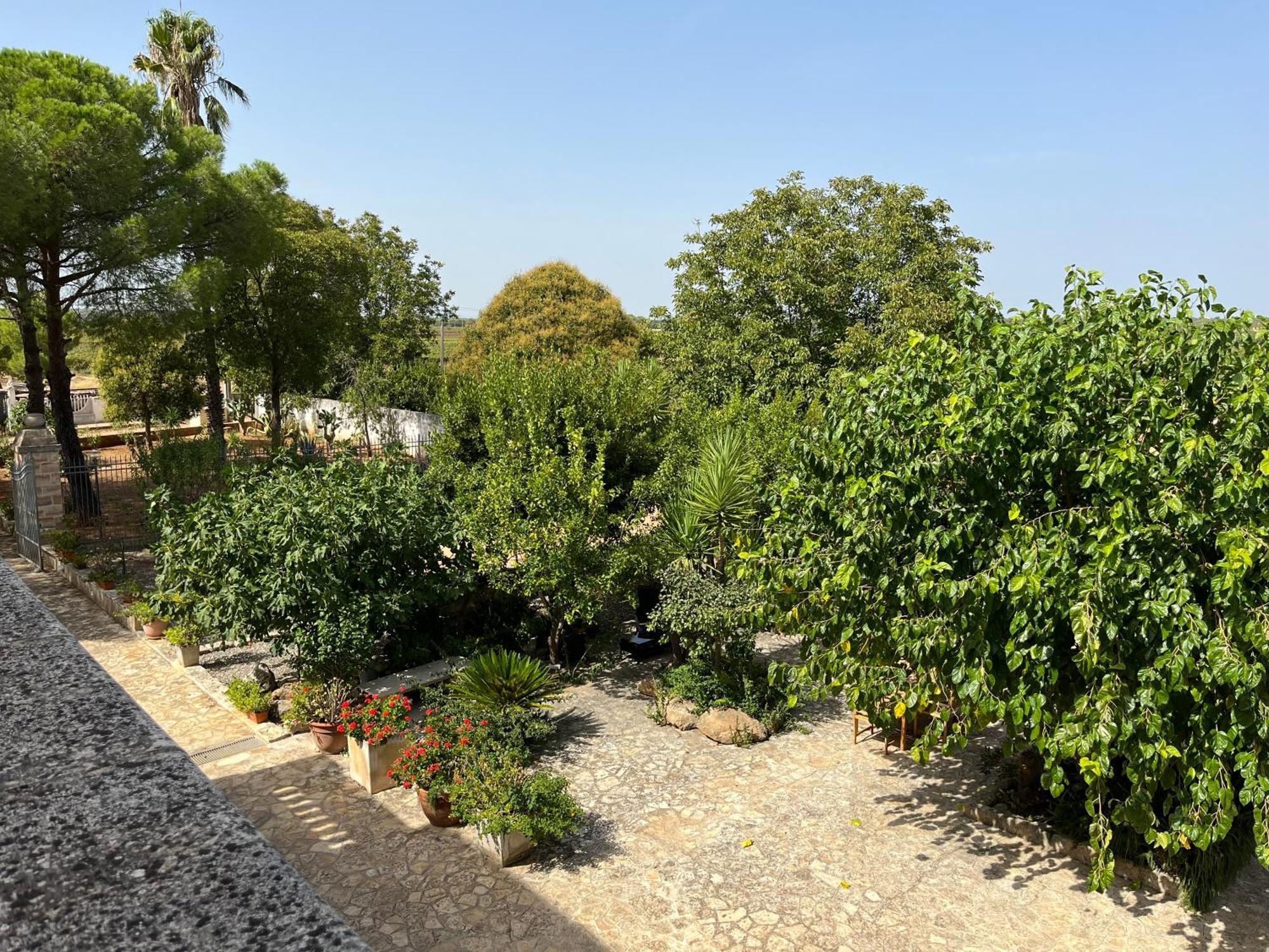 Masseria La Camardia Sava Dış mekan fotoğraf