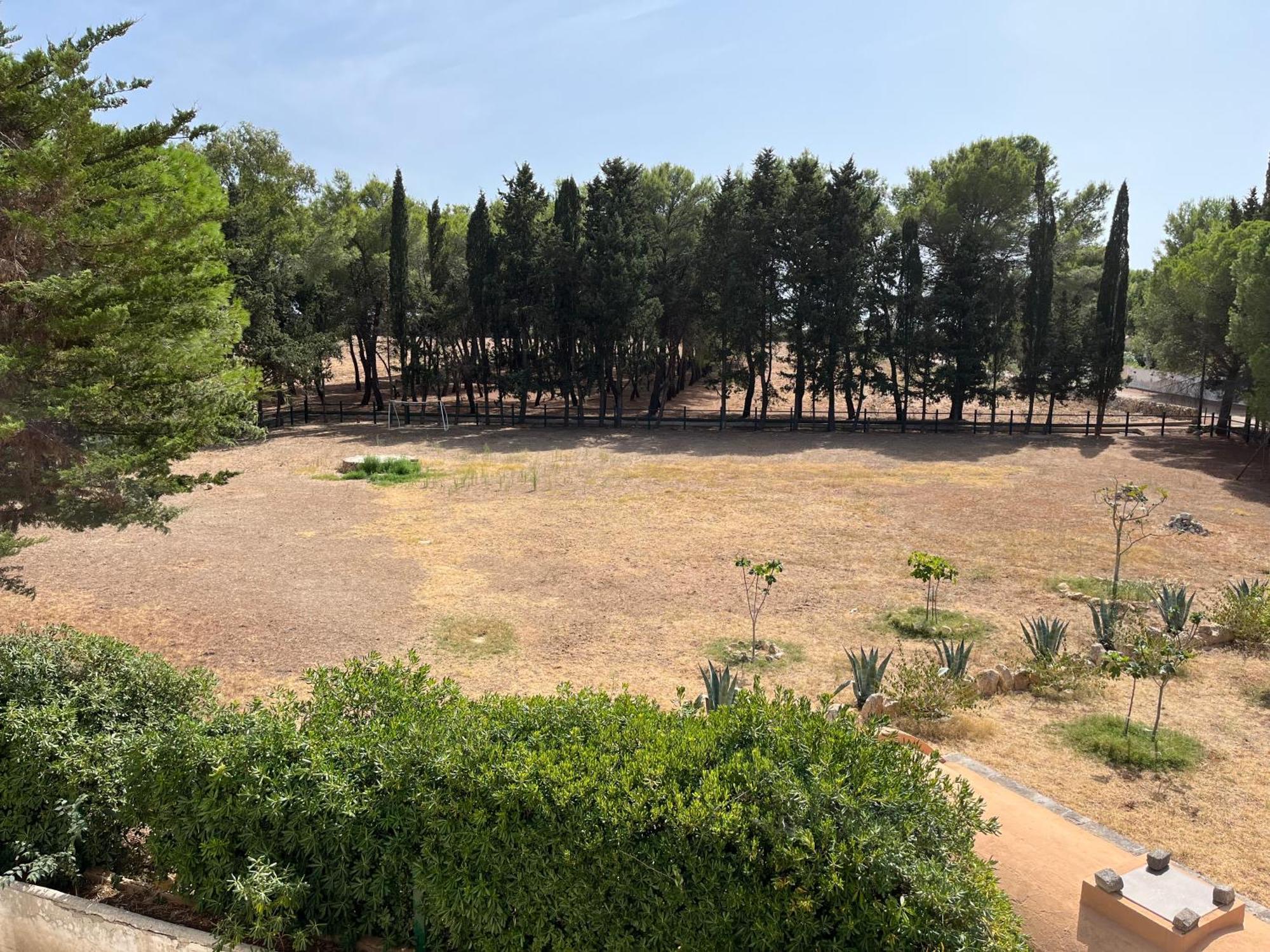 Masseria La Camardia Sava Dış mekan fotoğraf