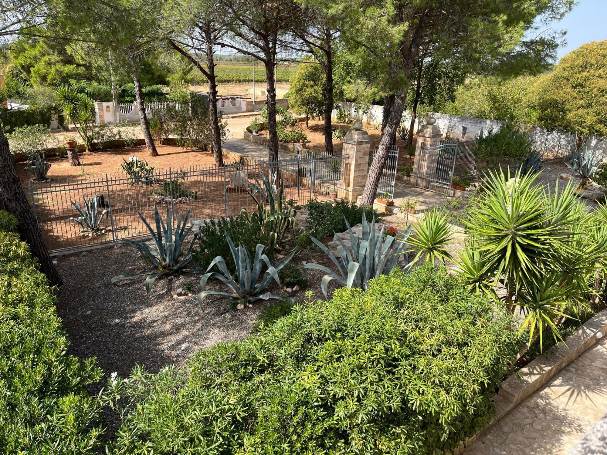 Masseria La Camardia Sava Dış mekan fotoğraf